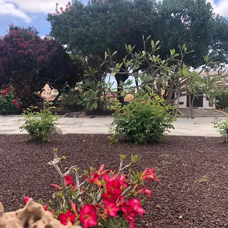 Casa Maida Apartman Tetir