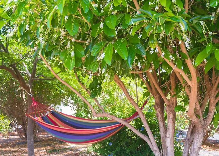 Apartament Casa Maida Tetir