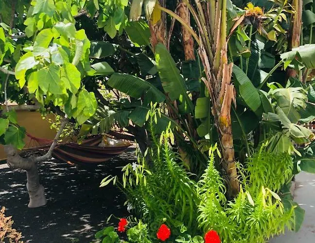 Apartament Casa Maida