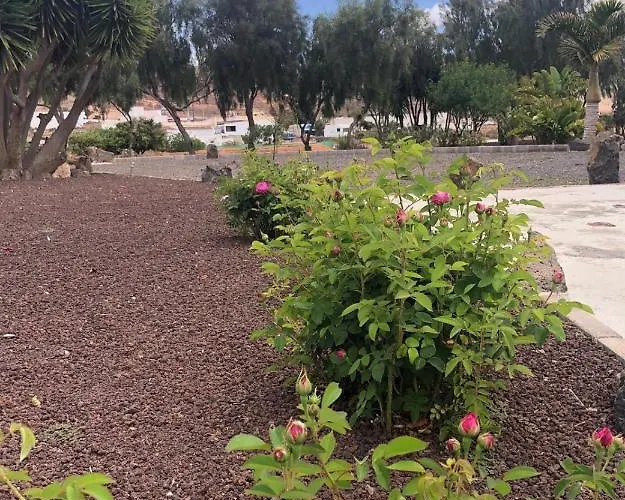 Apartament Casa Maida Tetir