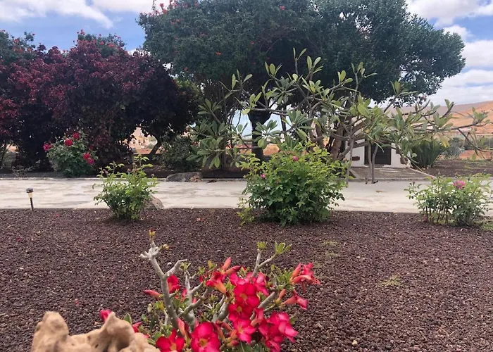 Casa Maida Apartament Tetir