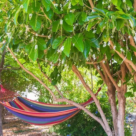 Apartamento Casa Maida Tetir